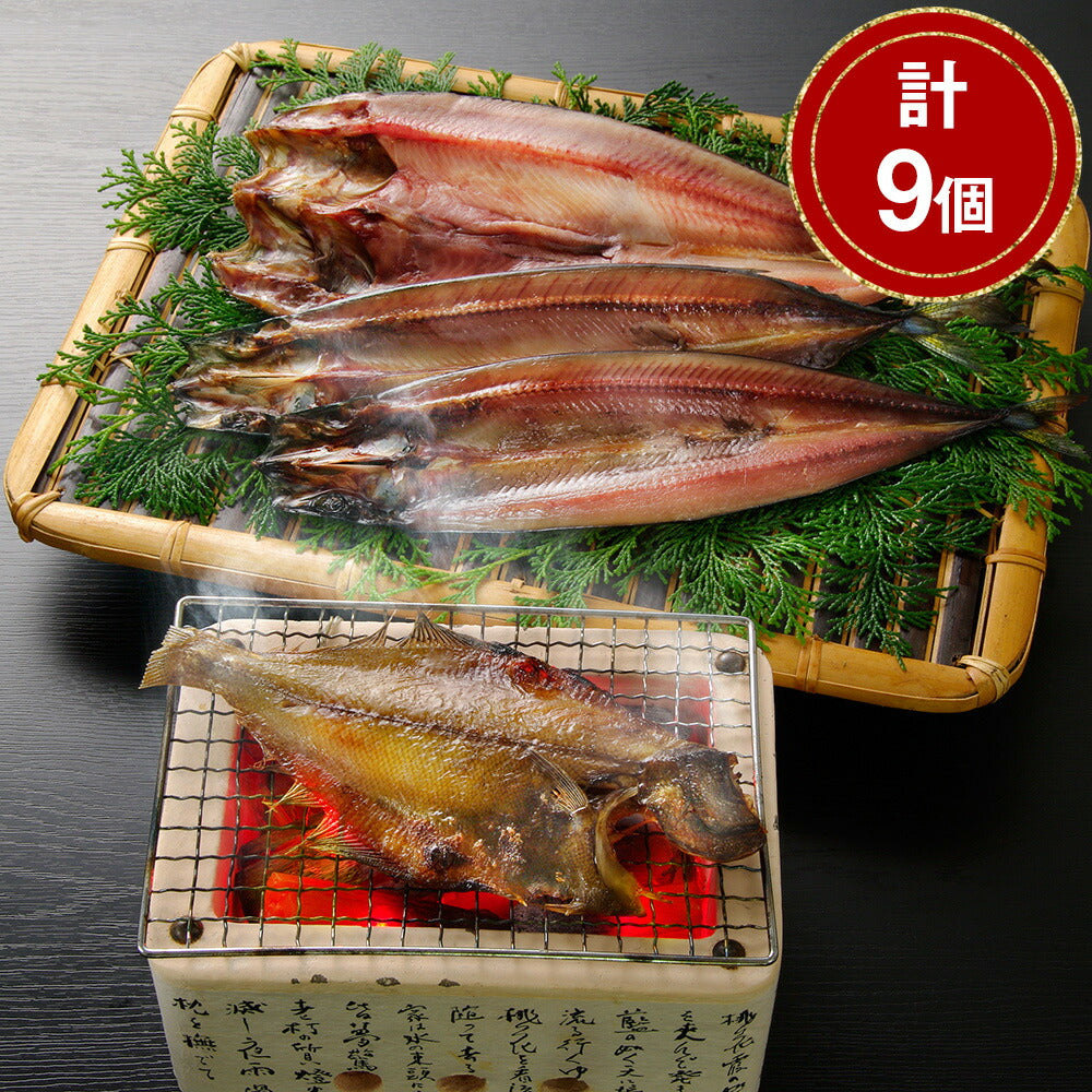 【3人シェア買いでお得】北海道 一夜干し詰合せ 計9個