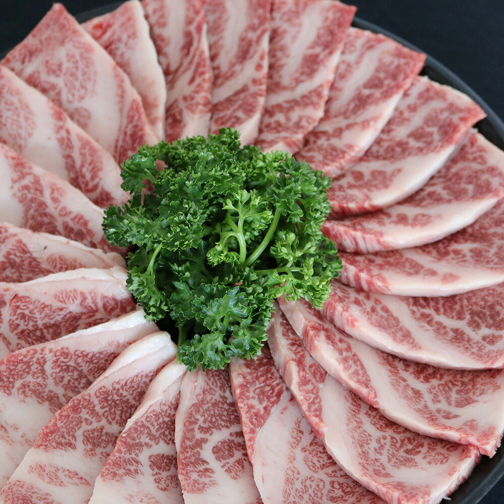 佐賀牛 焼きしゃぶ＆焼肉 セット 計600g 牛肉 焼き肉【送料込み】