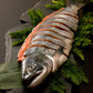 三協水産 北海道日高沖 新巻鮭 姿 切身 1.5kg 鮭 サケ さけ【送料込み】