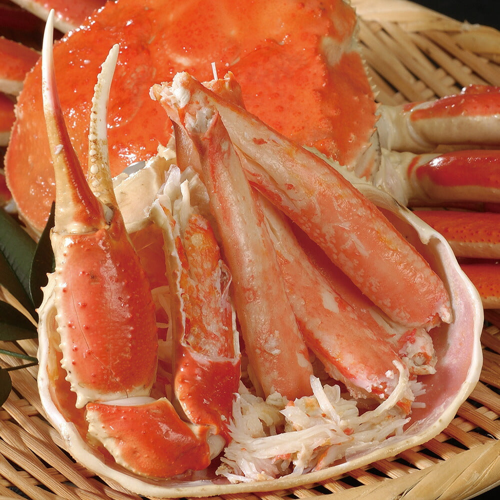 ボイル ずわいがに姿 500g×6杯 ズワイガニ 蟹.カニ かに【送料込み】