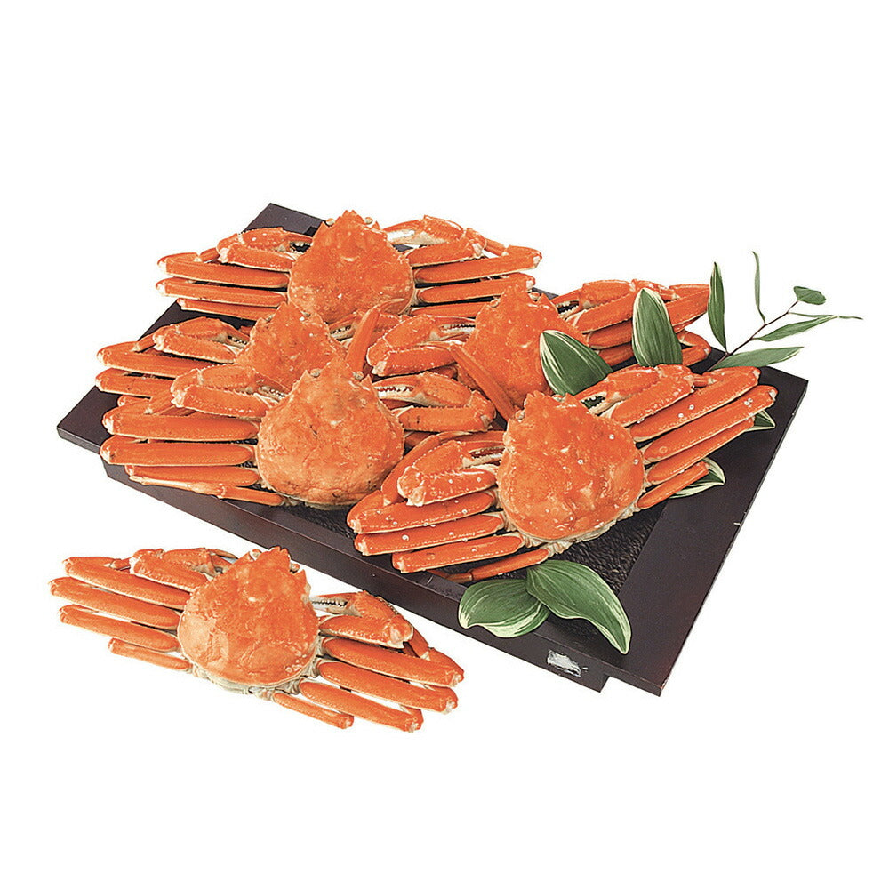 ボイル ずわいがに姿 500g×6杯 ズワイガニ 蟹.カニ かに【送料込み】