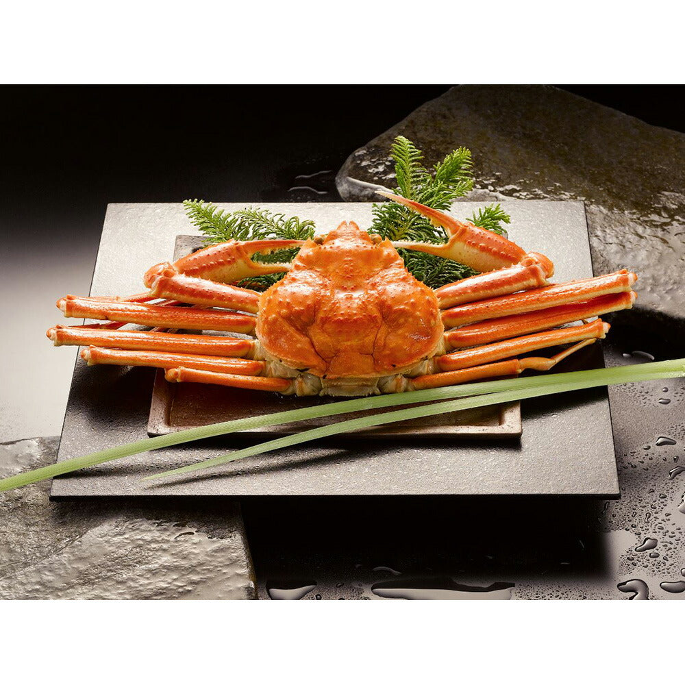 ボイル ずわいがに姿 500g×1杯 ズワイガニ 蟹.カニ かに【送料込み】
