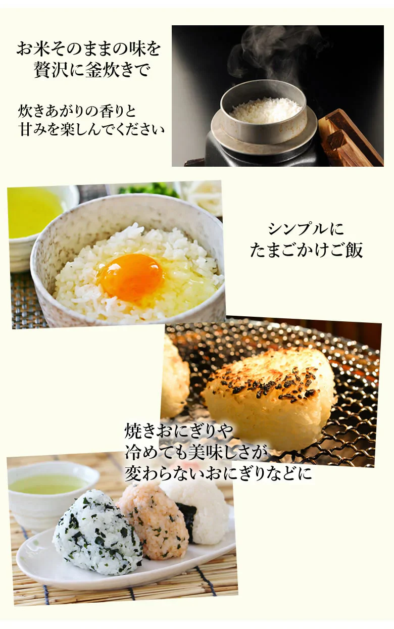 森のくまさん 米 送料無料 10kg(5kg×2) 令和5年産 新米 熊本県産 白米 お米 こめ 新米 ひのひかり こしひかり