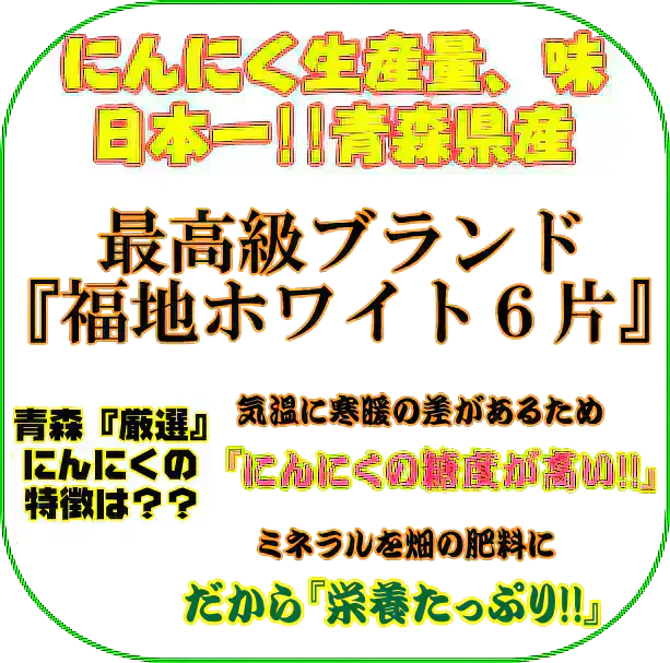 令和7年度産 青森県産にんにく 1㎏ 訳あり 並級C品 Mサイズ以上大玉混合 福地ホワイト六片種