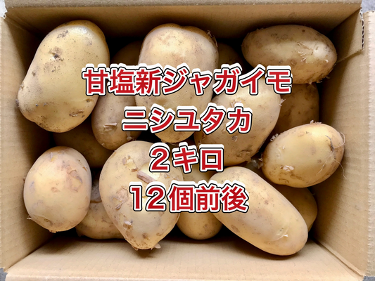 【鹿児島産 】甘塩新ジャガイモ箱込み2キロ^_^