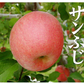 りんご サンふじ 青森産 5kg ご家庭用