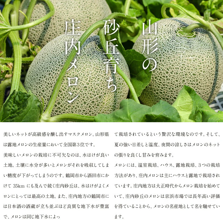 【贈答用】 山形県産 砂丘メロン(品種おまかせ)約2.5kg・2玉入り※一部地域は別途送料【のし対応】