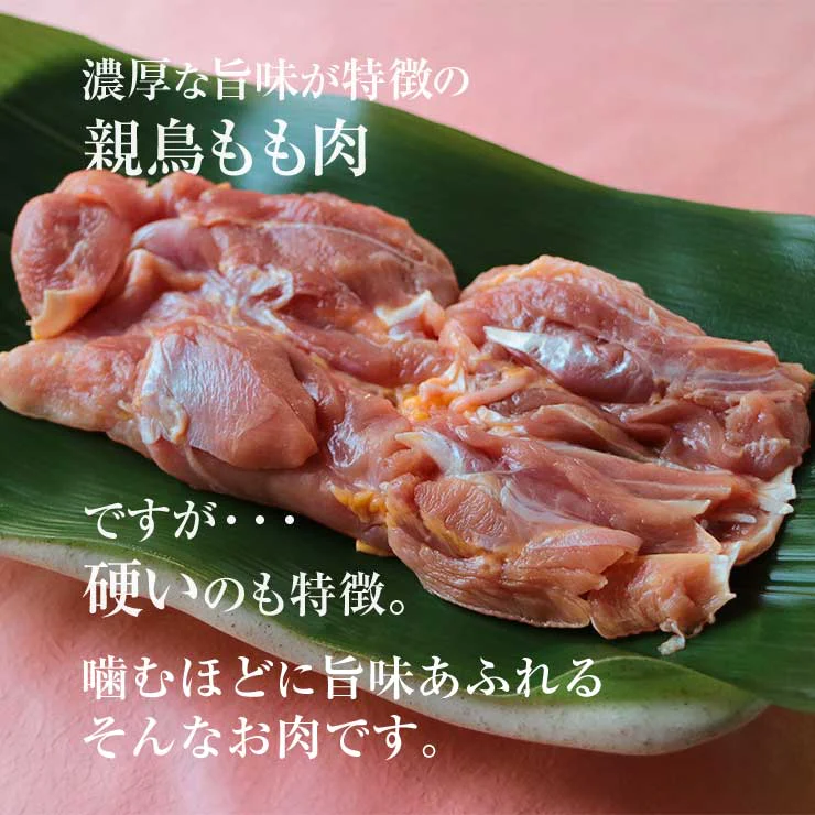 親鳥 1kg 親鶏肉 鶏肉 かたい 硬い もも肉 モモ肉 国産 国産鶏 業務用 業務用 冷凍 真空パック ヒネ鶏 ひね鳥 おやどり おや鳥 おや鶏 親どり 親鶏 成鶏 かしわ チキン ちきん とりにく 鳥肉 とり肉 鳥肉 水炊き 炭火焼 食品 お取り寄せ グルメ