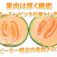 メロン 訳あり 小玉 赤肉メロン 送料無料 2玉 お取り寄せ 熊本県産 クインシーメロン フルーツ
