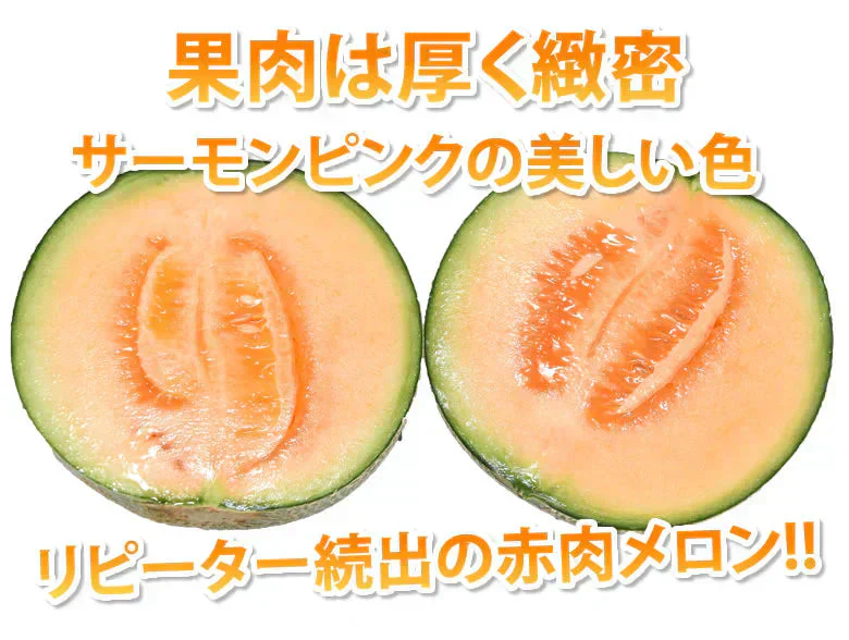 メロン 訳あり 小玉 赤肉メロン 送料無料 2玉 お取り寄せ 熊本県産 クインシーメロン フルーツ