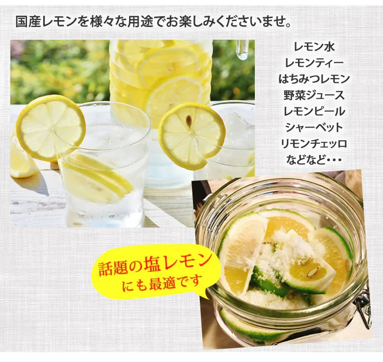 レモン 訳あり 国産レモン 送料無料 5kg 熊本県産 減農薬 防腐剤ワックス不使用 れもん グリーンレモン 国産