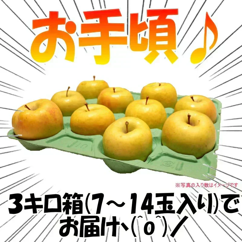 10月9日～発送！青森県産 りんご トキ 3kg箱 家庭用/訳あり ★トキ 家訳 3kg箱