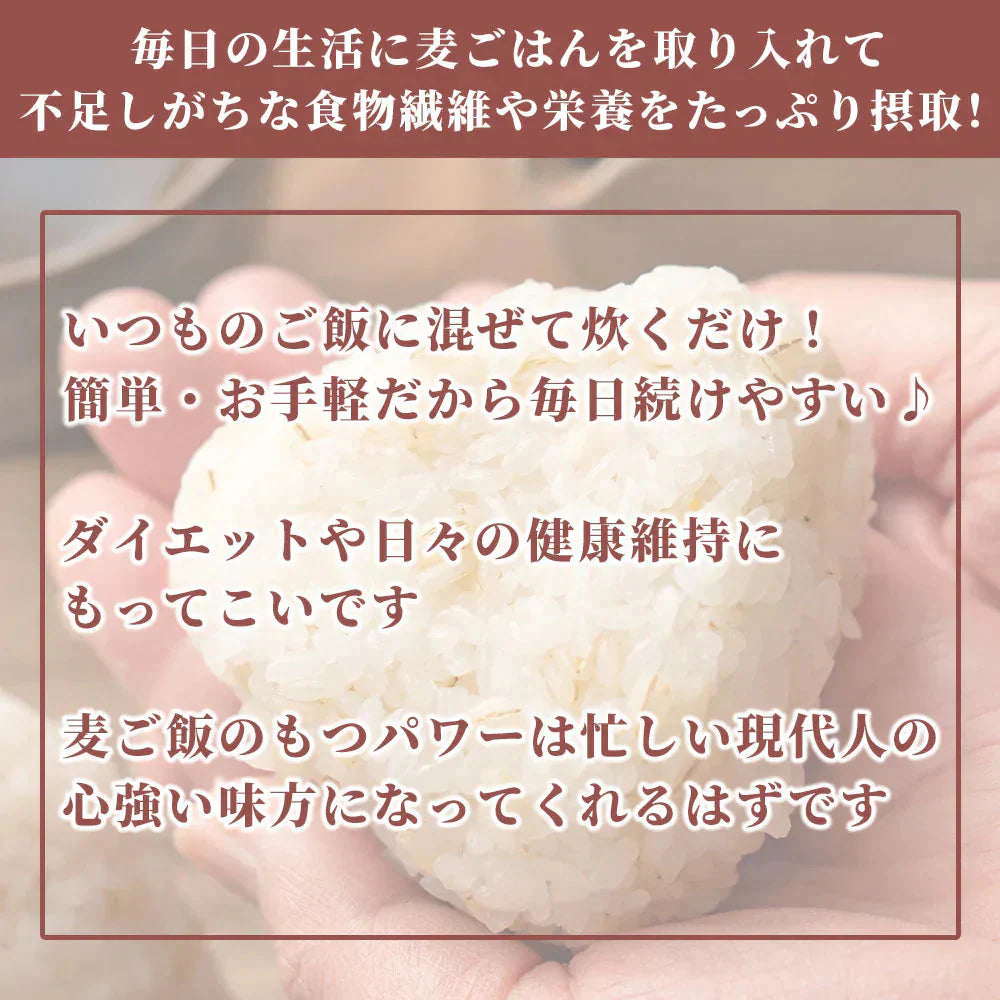 雑穀 雑穀米 国産 胚芽押麦 2.4kg(400g×6袋) ファミリーサイズ 無添加 無着色 送料無料
