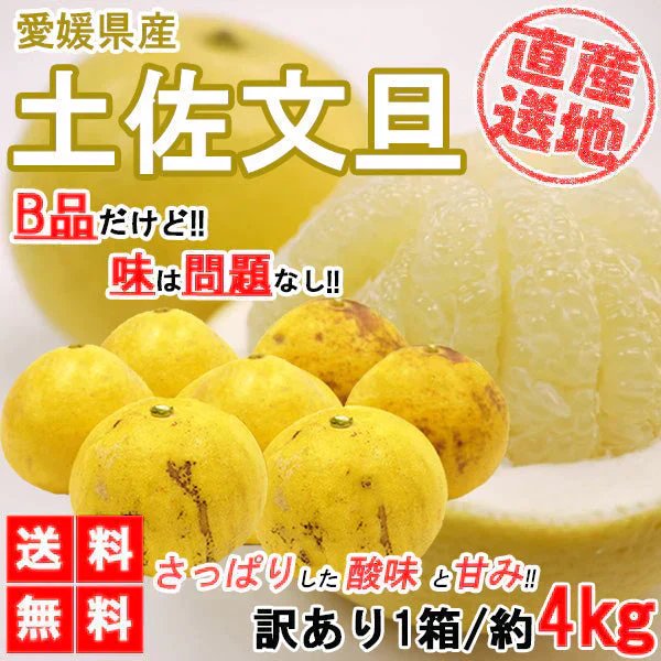 土佐文旦 訳あり 4kg 送料無料 ご家庭用 箱買い サイズミックス みかん 柑橘 フルーツ 果物 産地直送 愛媛県産 YDF-008