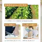 乾燥野菜 100g×1袋【青森の根菜ミックス】やさいマルシェ 無添加 ブドウ糖不使用 国産 乾燥野菜ミックス 簡単 時短 青森産 長いも 大根 人参 キャベツ ゴボウ アウトドア 災害常備菜 長期保存