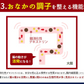 脂肪の吸収を抑える炭酸水 ぷらすの炭酸水 500mlPET×24本[脂肪 糖 整腸][機能性表示食品][賞味期限：1ヶ月以上]【1〜2営業日以内に出荷】【送料無料】強炭酸水 割材 ソーダ ダイエット