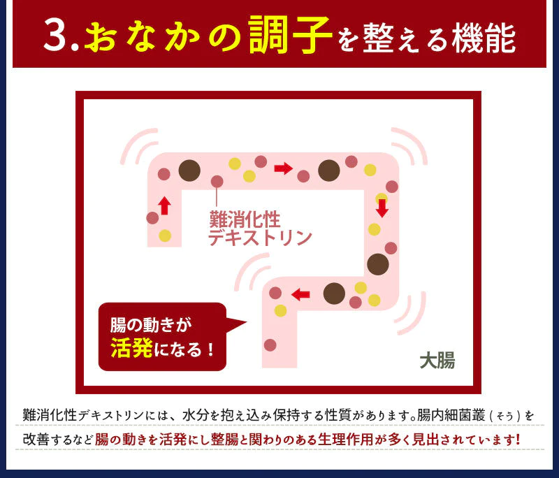 脂肪の吸収を抑える炭酸水 ぷらすの炭酸水 500mlPET×24本[脂肪 糖 整腸][機能性表示食品][賞味期限：1ヶ月以上]【1〜2営業日以内に出荷】【送料無料】強炭酸水 割材 ソーダ ダイエット