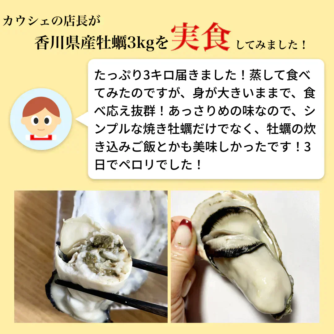 【25個以上！】香川県志度産牡蠣　３キロ