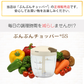 【強化版・レシピ付】 ふたも洗える ぶんぶんチョッパー5S 900ml 【ゲリラセール】