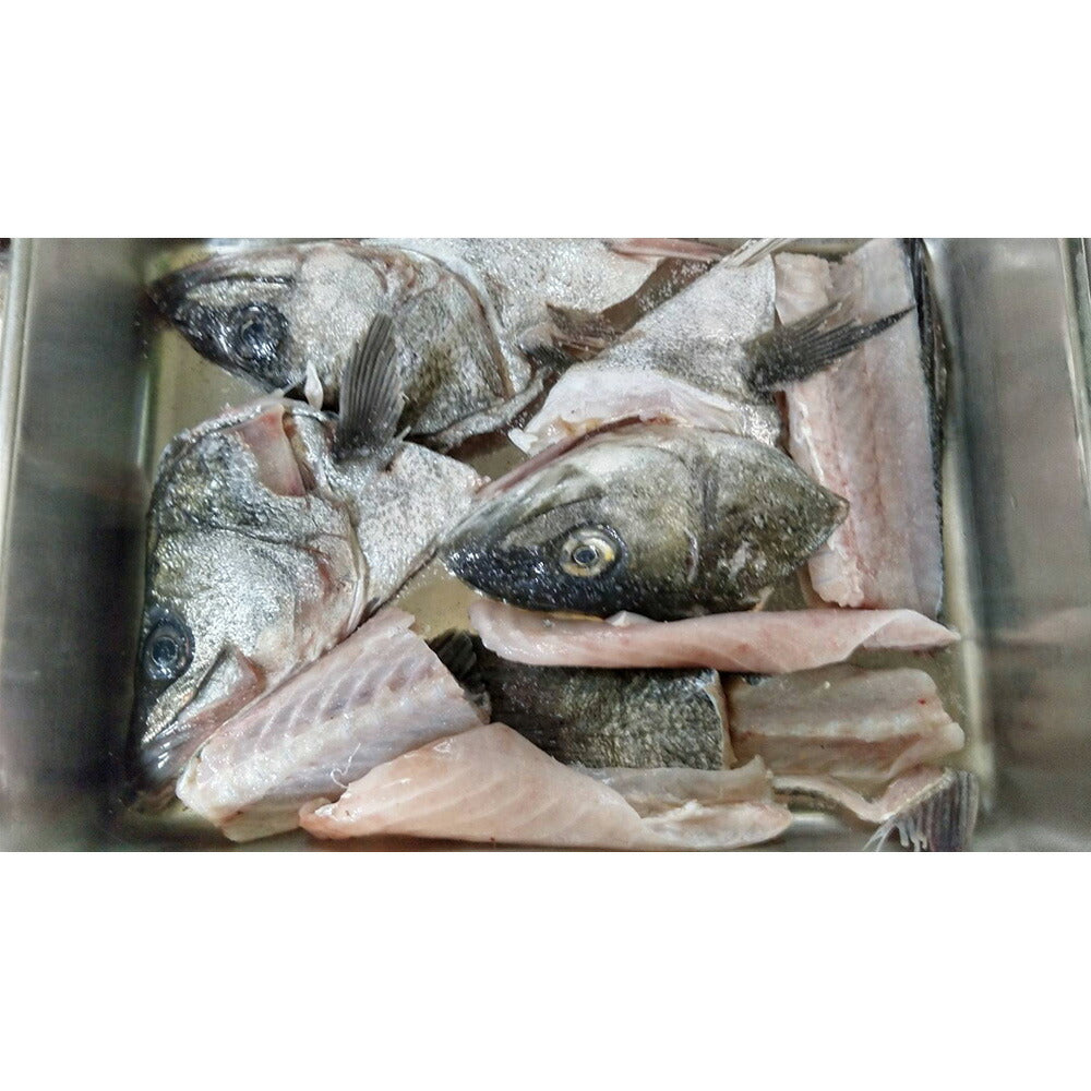 【3人シェア買いでお得】無添加 淡路島産お魚たっぷりパスタソース３種セット（ゴロゴロはものパスタソース 天然すずきのトマトソースのラグー はりいかゴロゴロのイカスミパスタソース）