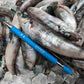 【3人シェア買いでお得】無添加 魚屋厳選魚介のオイル煮 5種セット（かつお タコの子 めひかり あなご いわし）