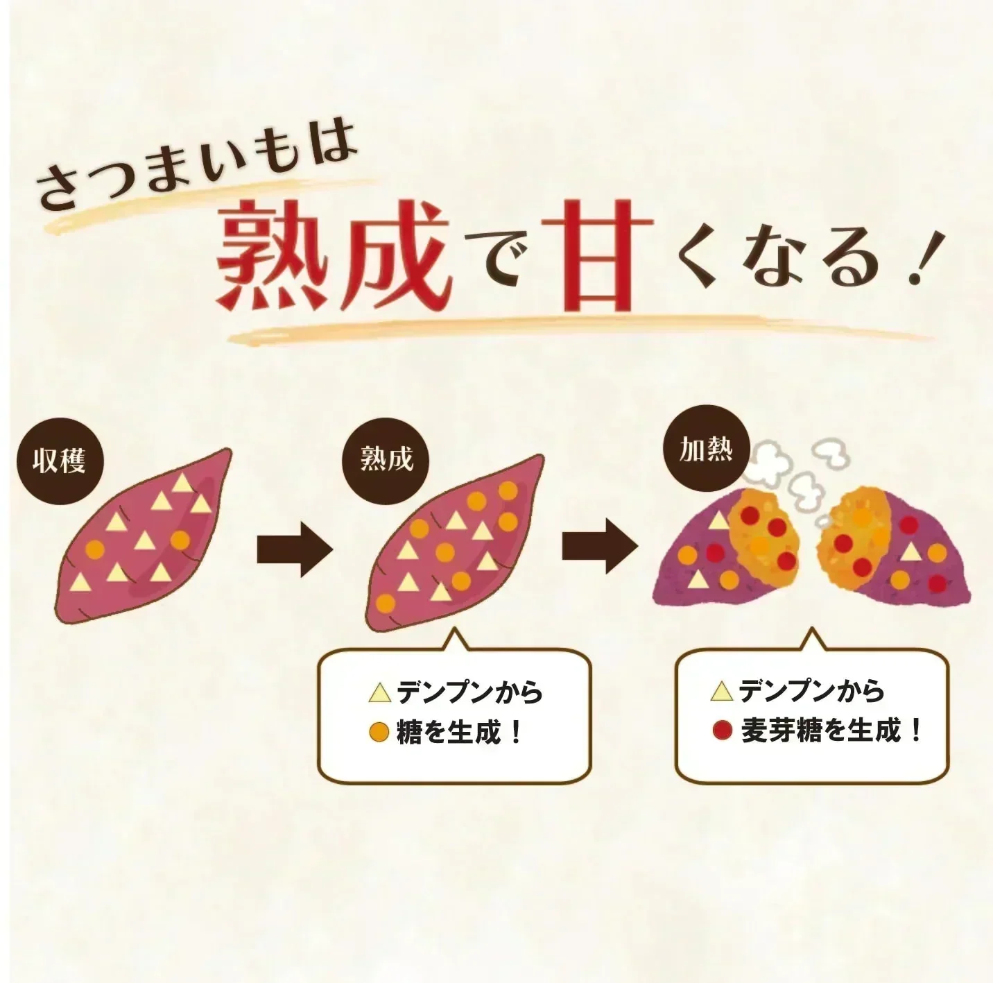 【出荷量10t突破！！房総蜜芋！！千葉県産紅はるか使用！！大容量がお買い得！便利な食べきり個包装！冷凍焼き芋！！4㎏（12本～20本）高糖度紅はるかをじっくり焼き上げました！】さつまいも　焼き芋　ねっとり美味しい クール便込で圧倒的価格　焼き芋4㎏個装