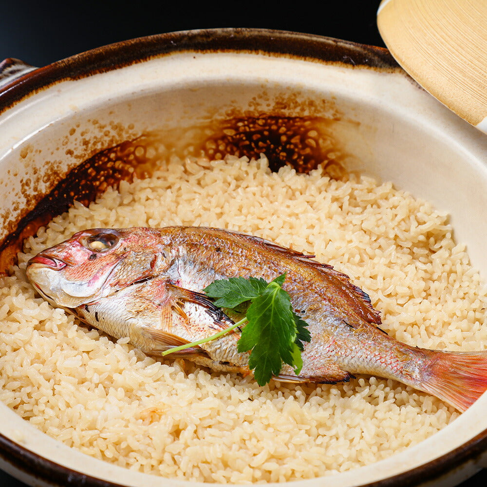 明石鯛めしのもと