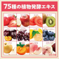 『国産NMN入り とってもおいしいフルーツ青汁　プレミアム（1箱）』 NMN 乳酸菌 国産 個包装 ビタミン 大麦若葉 雑穀青汁 美味しい 飲みやすい 抹茶 食物繊維 栄養 鉄 葉酸 ポリフェノール GABA ケール 健康 美容