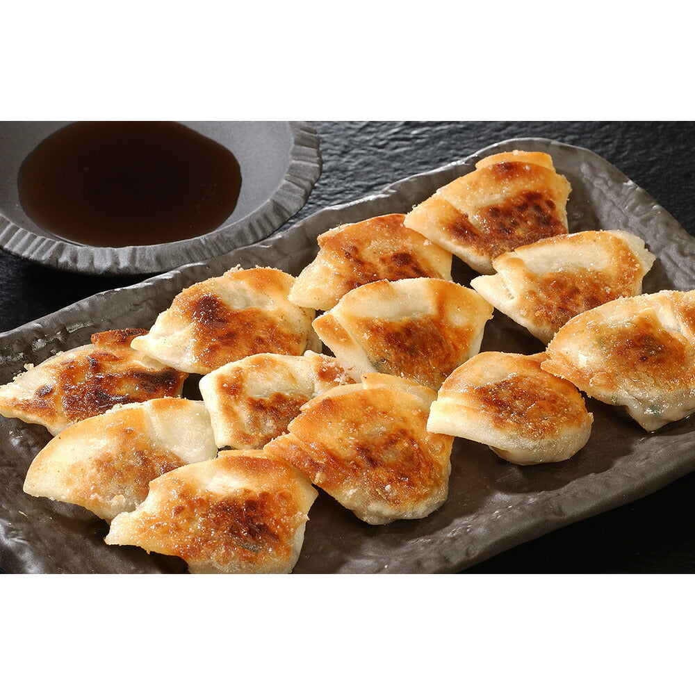 業務用 一口餃子 90個セット GHI-1 中華 点心 ぎょうざ ギョウザ【送料込み】【お届け不可地域：北海道・沖縄・離島】