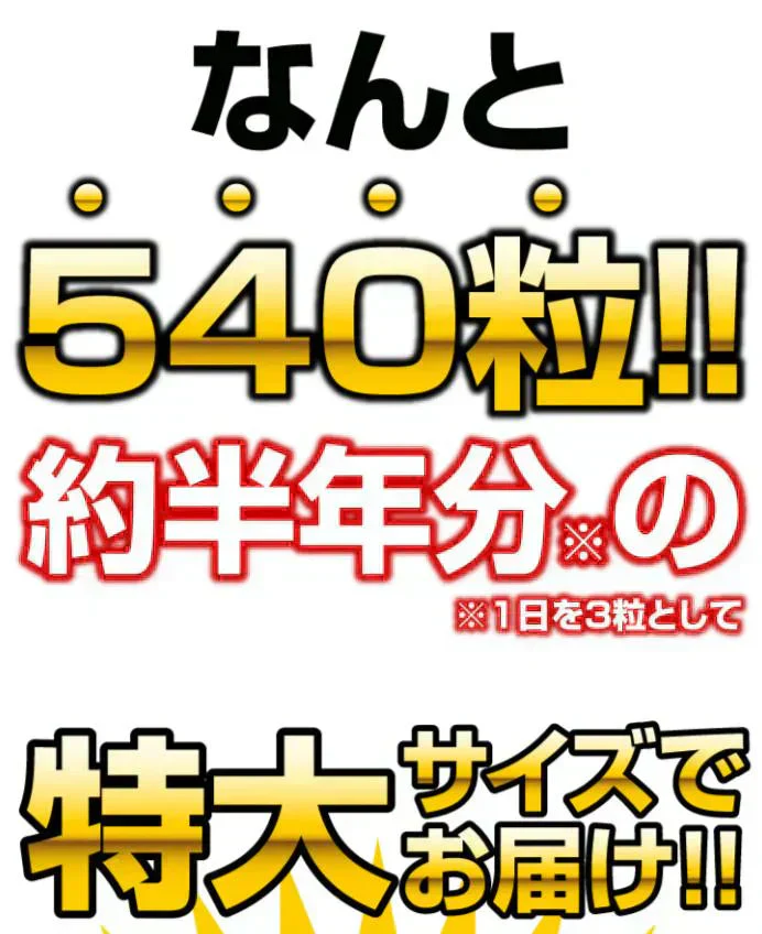 約半年分たっぷり大容量グルコサミン+コンドロイチン+コラーゲン540粒