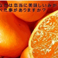 【11月上旬頃～12下旬頃順次発送】しおみかん  5kg みかん 熊本産 訳あり ご家庭用 80サイズ