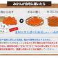 熊本 みかん 訳あり 9kg 熊本県産 熊本 小玉 不選別 みかん 家庭用 送料無料 早生 ミカン フルーツ お取り寄せ 柑橘 フルーツ 果物  《10月中旬-11月中旬に出荷予定》