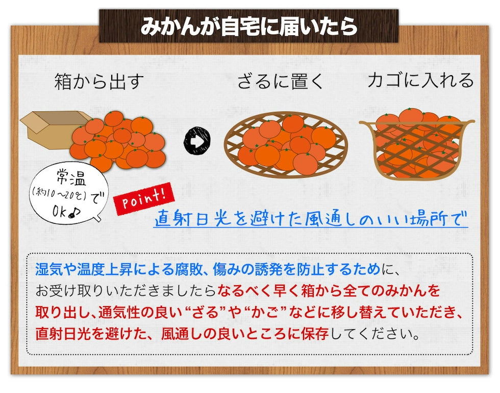 熊本 みかん 訳あり 9kg 熊本県産 熊本 小玉 不選別 みかん 家庭用 送料無料 早生 ミカン フルーツ お取り寄せ 柑橘 フルーツ 果物  《10月中旬-11月中旬に出荷予定》