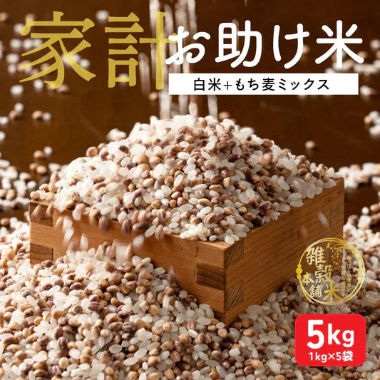 雑穀 雑穀米 国産 家計お助け米 もち麦ミックス 10kg(1kg×10袋)
