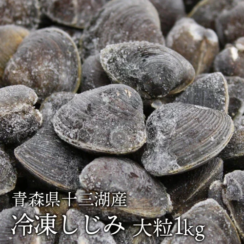 青森県十三湖 冷凍 しじみ 大粒 （ヤマトシジミ）1kg  砂抜き不要