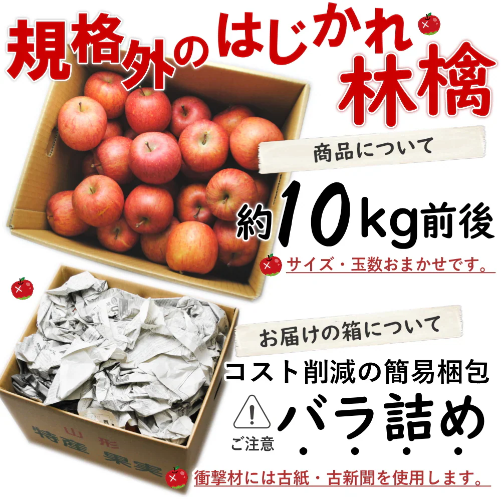 【12月上旬-下旬頃ご注文受付順次】訳ありりんご サンふじ ふじ 山形県産 10kg前後 バラ詰め サンフジ ふじ りんご 林檎  リンゴ 山形産 産直 送料無料