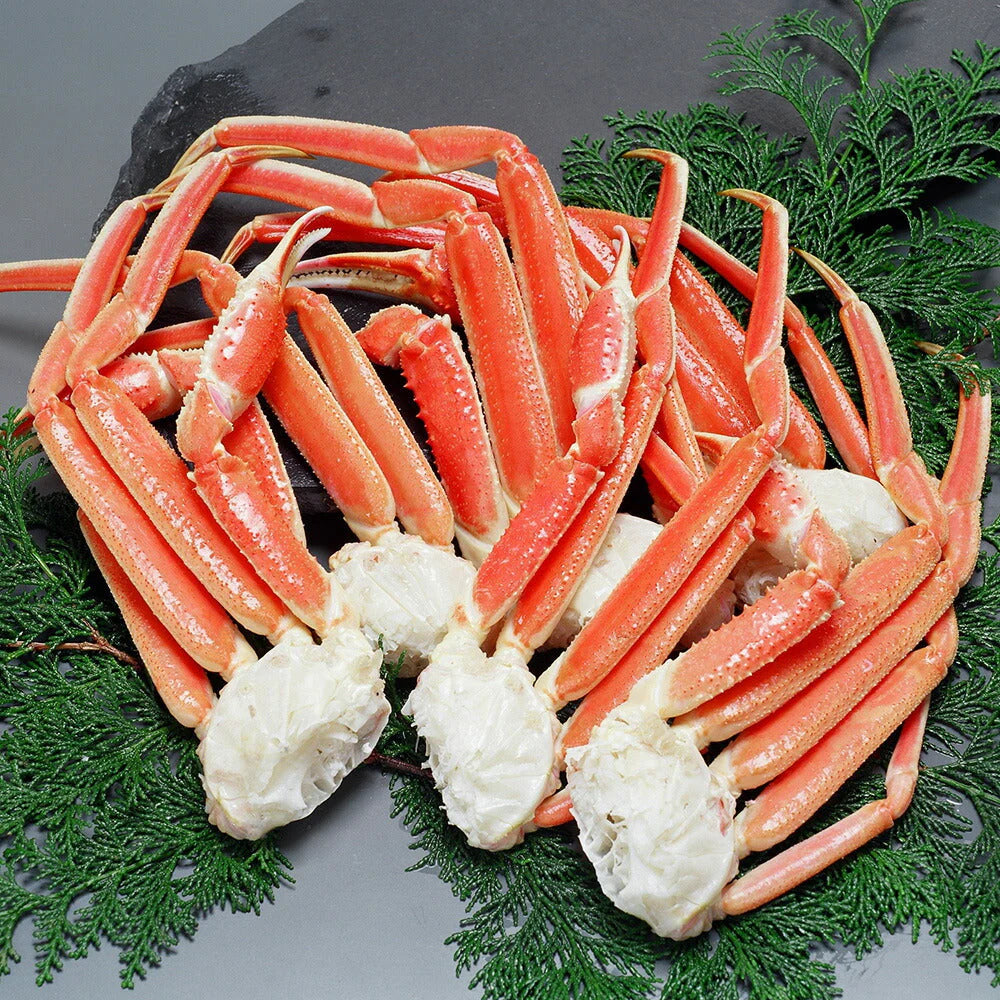 ボイルずわい蟹肩肉付き脚 3L 1.2Kg【送料込み】【お届け不可地域：沖縄・離島】