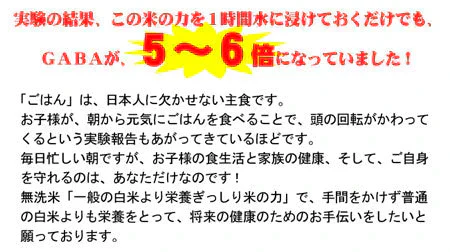送料無料 無洗米 栄養ぎっしり 米の力　2kg 送料無料 お試し 九州産 米 4kg 2キロ×2個