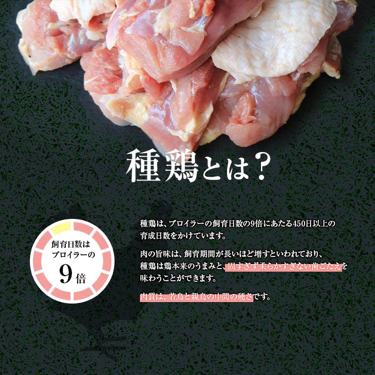 親鳥 種鶏 たね鶏 2kg 親鶏肉  業務用 冷凍 真空パック