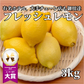 レモン　3キロ　　訳ありではございません！！