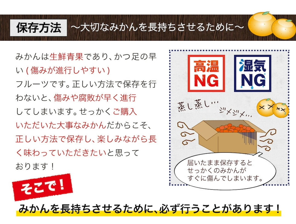熊本 みかん 訳あり 9kg 熊本県産 熊本 小玉 不選別 みかん 家庭用 送料無料 早生 ミカン フルーツ お取り寄せ 柑橘 フルーツ 果物  《10月中旬-11月中旬に出荷予定》