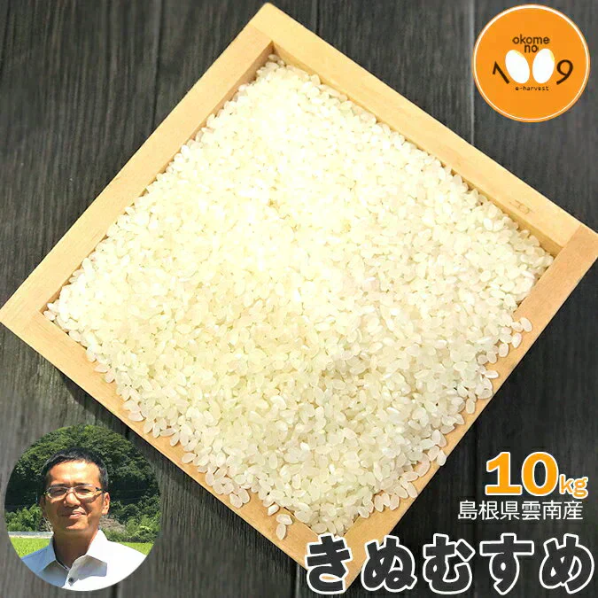 米 島根県雲南産 きぬむすめ 白米 10kg 令和7年産 石原公夫