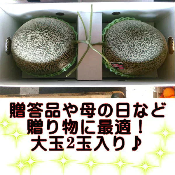 【6月上旬～7月上旬発送予定】肥後グリーンメロン　大玉　2玉入り(1玉1.6kg以上）　熊本産