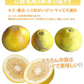 パール柑 5kg 箱込 (内容量4kg+不良果補償分500g)  文旦 みかん 送料無料 訳あり 無選別 サイズ混合 熊本県産 グレープフルーツ 蜜柑