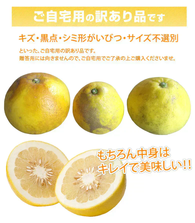 パール柑 5kg 箱込 (内容量4kg+不良果補償分500g)  文旦 みかん 送料無料 訳あり 無選別 サイズ混合 熊本県産 グレープフルーツ 蜜柑