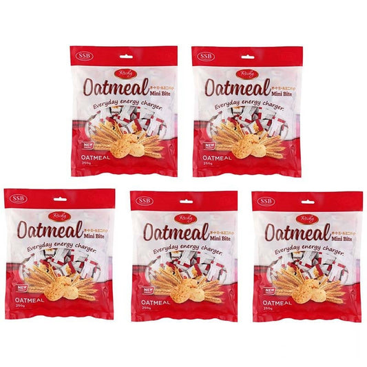 Richy オートミールミニバイト 250g×5袋セット oatmeal mini bite 個包装 大容量パック リッチー