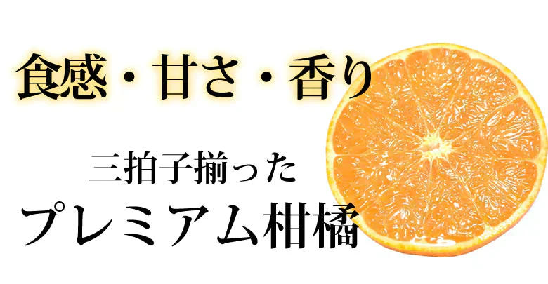 せとか みかん 送料無料 ハウス栽培 秀品 2kg 希少品種 熊本県産 蜜柑 清見 アンコール マーコット