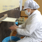 6～8人前 稲庭うどん「透白」桐箱入り詰め合わせ
