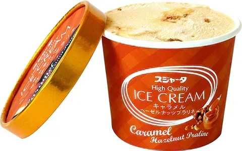 【6月限り】アイスクリーム詰め合わせBOX！いろんな種類が一箱に（5種25～30個）