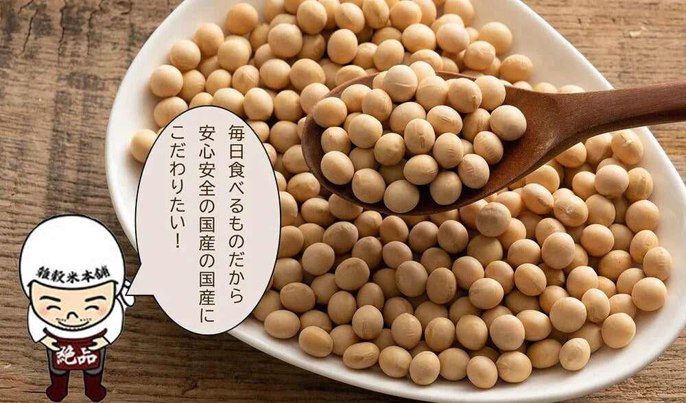 雑穀 雑穀米 国産 大豆ミート(フィレ) 3kg(250g×12袋) 送料無料